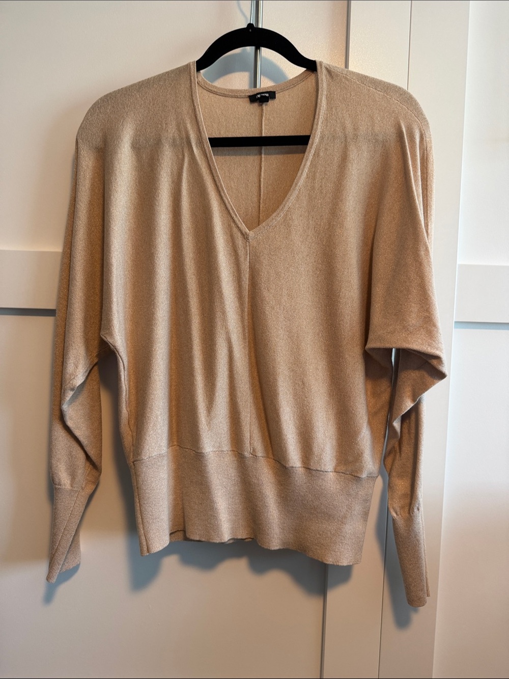 Express Women's V-Neck Sweater in Beige